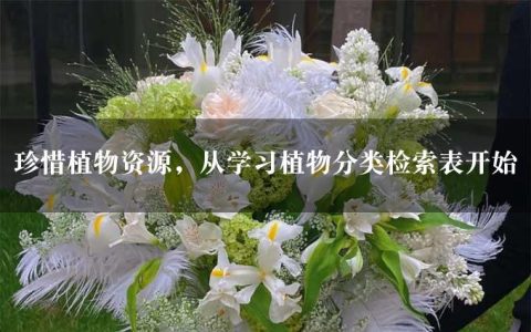 珍惜植物资源，从学习植物分类检索表开始