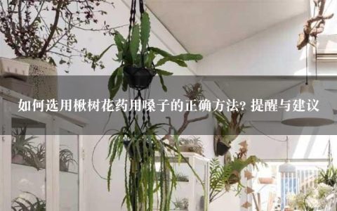 如何选用楸树花药用嗓子的正确方法? 提醒与建议