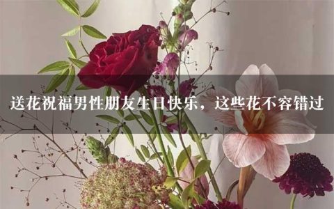 送花祝福男性朋友生日快乐，这些花不容错过