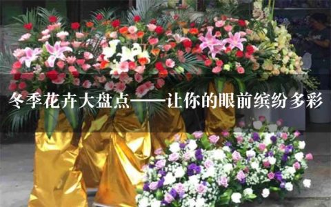 冬季花卉大盘点——让你的眼前缤纷多彩