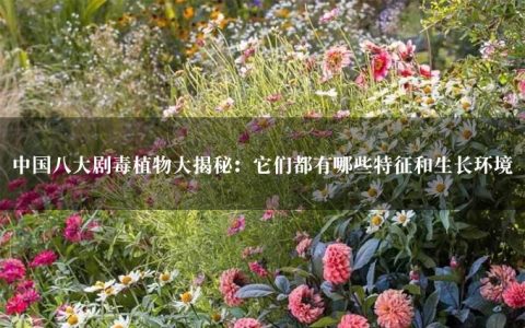 中国八大剧毒植物大揭秘：它们都有哪些特征和生长环境