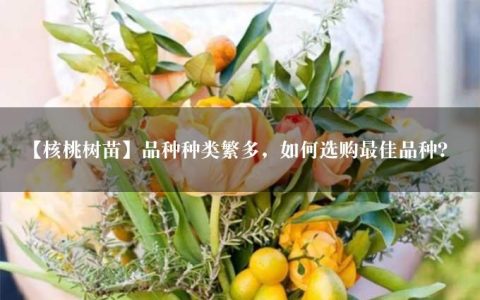 【核桃树苗】品种种类繁多，如何选购最佳品种？