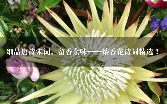 细品唐诗宋词，留香余味——结香花诗词精选！