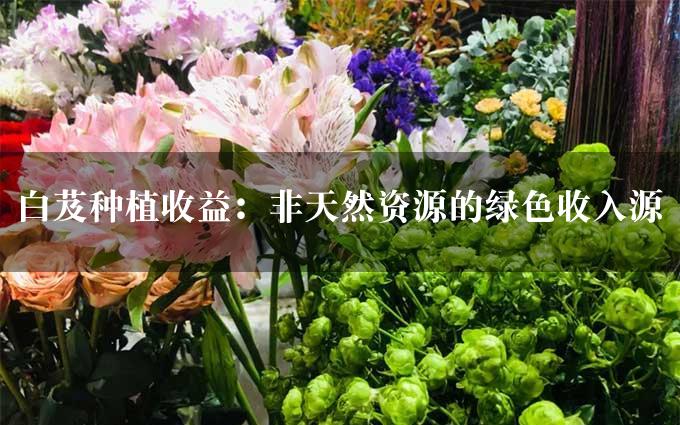 白芨种植收益：非天然资源的绿色收入源