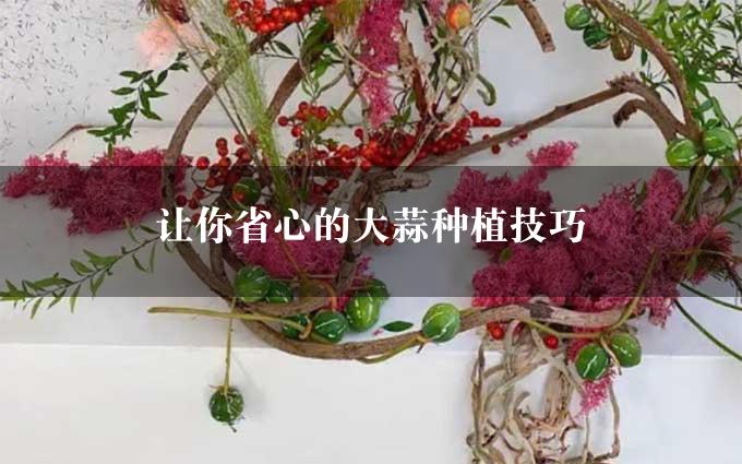 让你省心的大蒜种植技巧