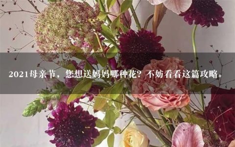 2021母亲节，您想送妈妈哪种花？不妨看看这篇攻略。