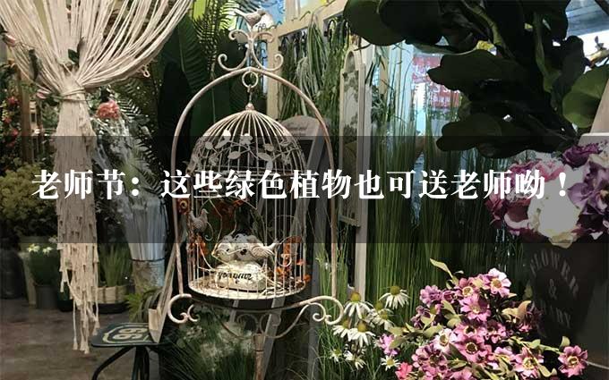 老师节：这些绿色植物也可送老师呦！