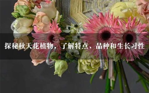 探秘秋天花植物，了解特点、品种和生长习性