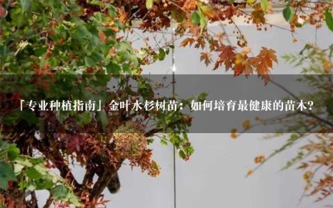 「专业种植指南」金叶水杉树苗：如何培育最健康的苗木？