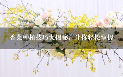 香菜种植技巧大揭秘，让你轻松掌握