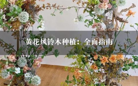 黄花风铃木种植：全面指南