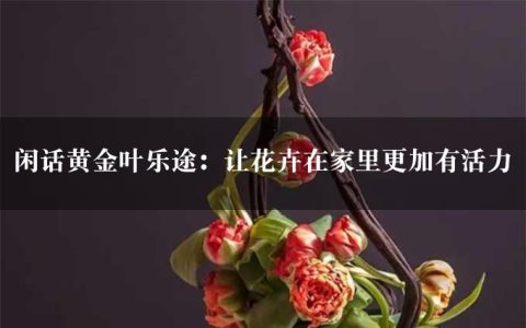 闲话黄金叶乐途：让花卉在家里更加有活力