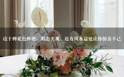 这十种花色鲜艳、形态美观，还有风水益处让你惊喜不已