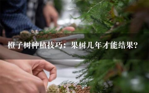 橙子树种植技巧：果树几年才能结果？