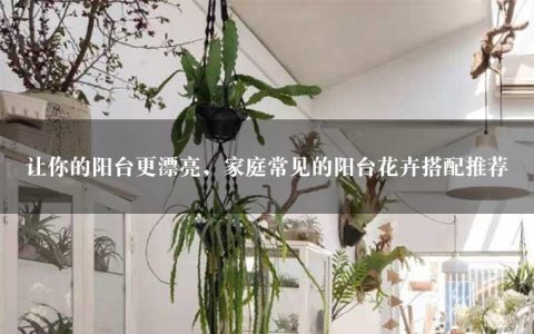 让你的阳台更漂亮，家庭常见的阳台花卉搭配推荐