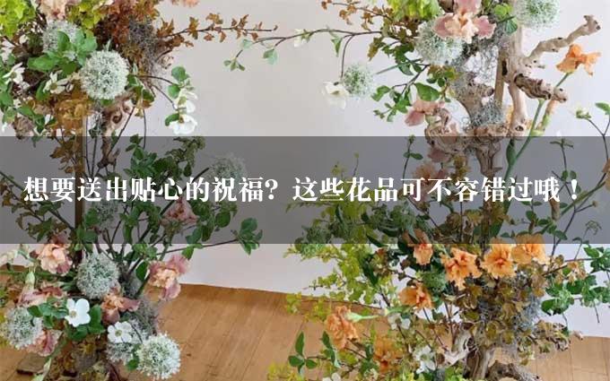 想要送出贴心的祝福？这些花品可不容错过哦！