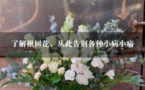 了解楸树花，从此告别各种小病小痛