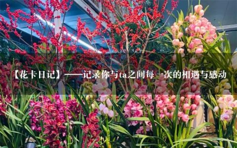 【花卡日记】——记录你与ta之间每一次的相遇与感动