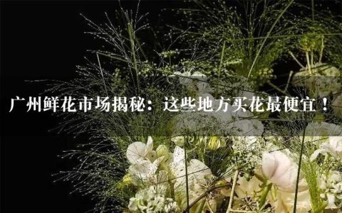 广州鲜花市场揭秘：这些地方买花最便宜！