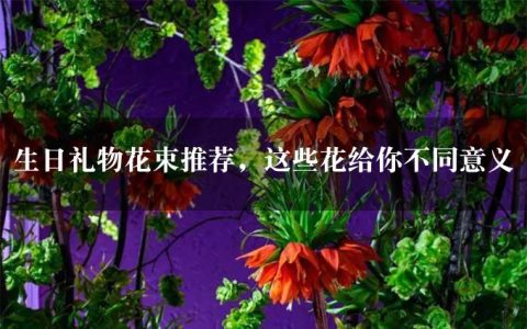 生日礼物花束推荐，这些花给你不同意义