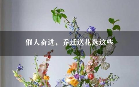 催人奋进，乔迁送花选这些