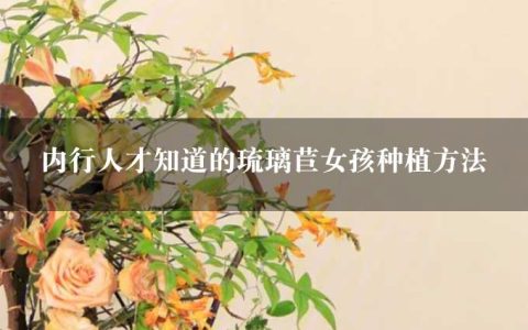 内行人才知道的琉璃苣女孩种植方法