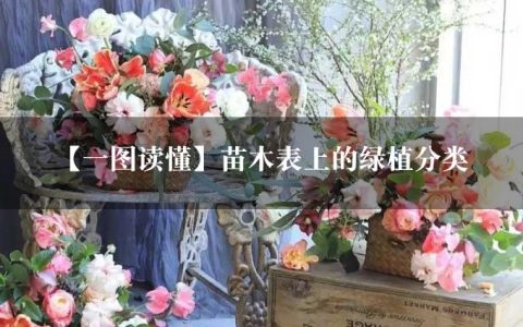 【一图读懂】苗木表上的绿植分类