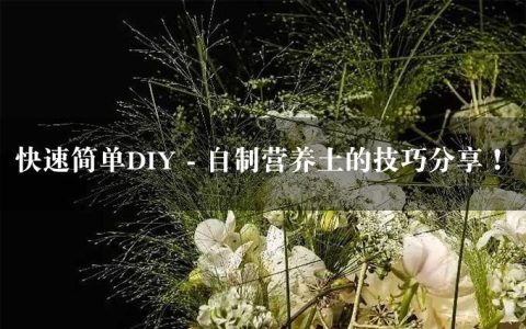 快速简单DIY - 自制营养土的技巧分享！