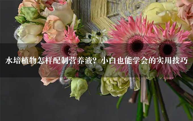 水培植物怎样配制营养液？小白也能学会的实用技巧