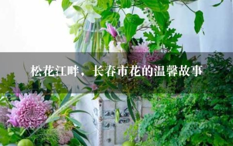 松花江畔，长春市花的温馨故事