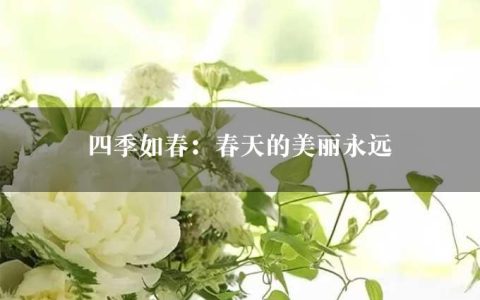 四季如春：春天的美丽永远