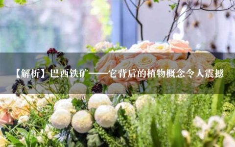 【解析】巴西铁矿——它背后的植物概念令人震撼