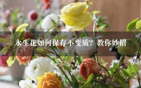 永生花如何保存不变质？教你妙招