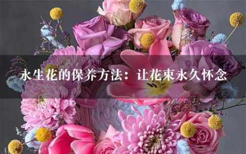 永生花的保养方法：让花束永久怀念