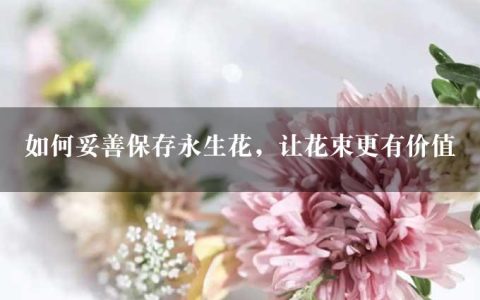 如何妥善保存永生花，让花束更有价值