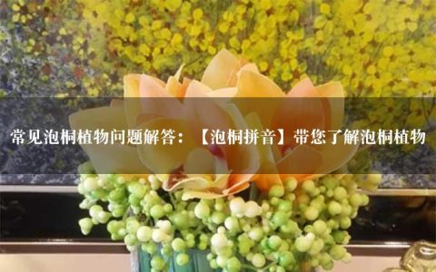 常见泡桐植物问题解答：【泡桐拼音】带您了解泡桐植物