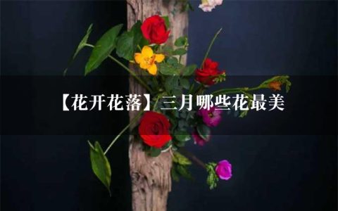 【花开花落】三月哪些花最美