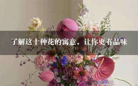 了解这十种花的寓意，让你更有品味