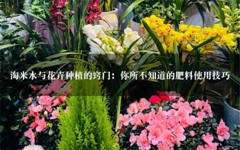 淘米水与花卉种植的窍门：你所不知道的肥料使用技巧