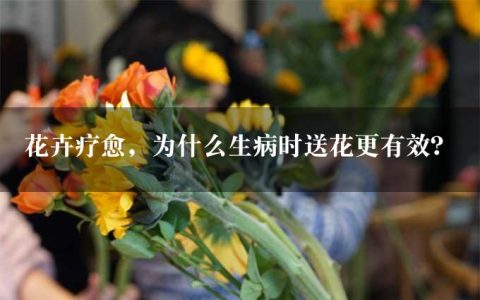 花卉疗愈，为什么生病时送花更有效？