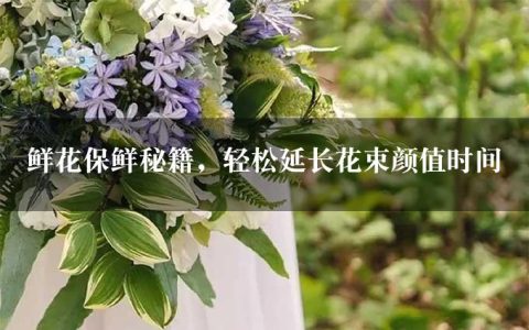 鲜花保鲜秘籍，轻松延长花束颜值时间