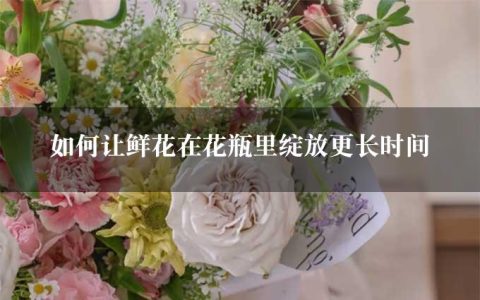 如何让鲜花在花瓶里绽放更长时间