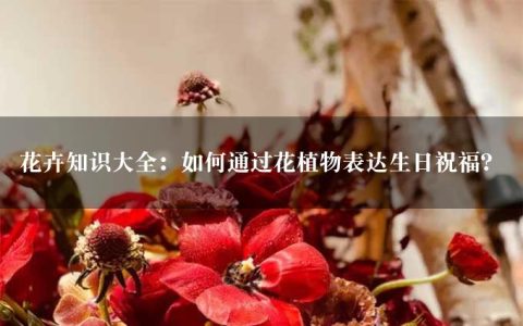 花卉知识大全：如何通过花植物表达生日祝福？