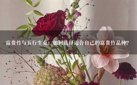 富贵竹与五行生克：如何选择适合自己的富贵竹品种？