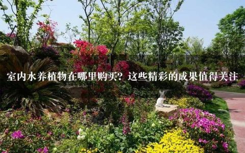 室内水养植物在哪里购买？这些精彩的成果值得关注