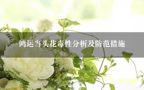 鸿运当头花毒性分析及防范措施