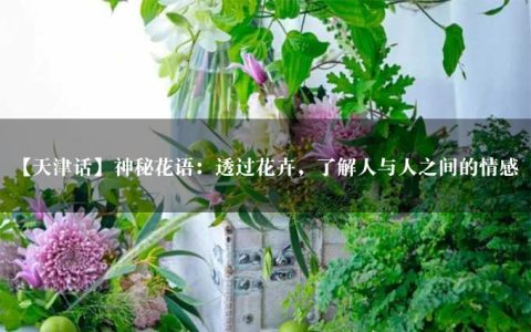 【天津话】神秘花语：透过花卉，了解人与人之间的情感