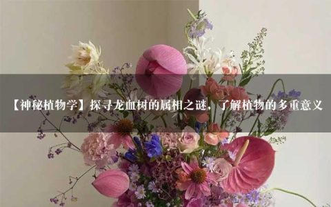 【神秘植物学】探寻龙血树的属相之谜，了解植物的多重意义