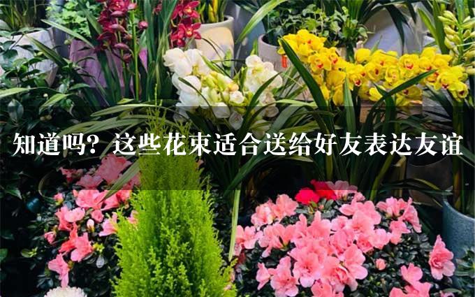 知道吗？这些花束适合送给好友表达友谊