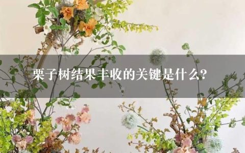 栗子树结果丰收的关键是什么？